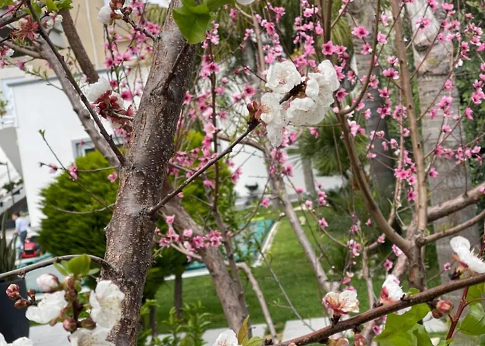 Angolo Paradiso Castelvetrano